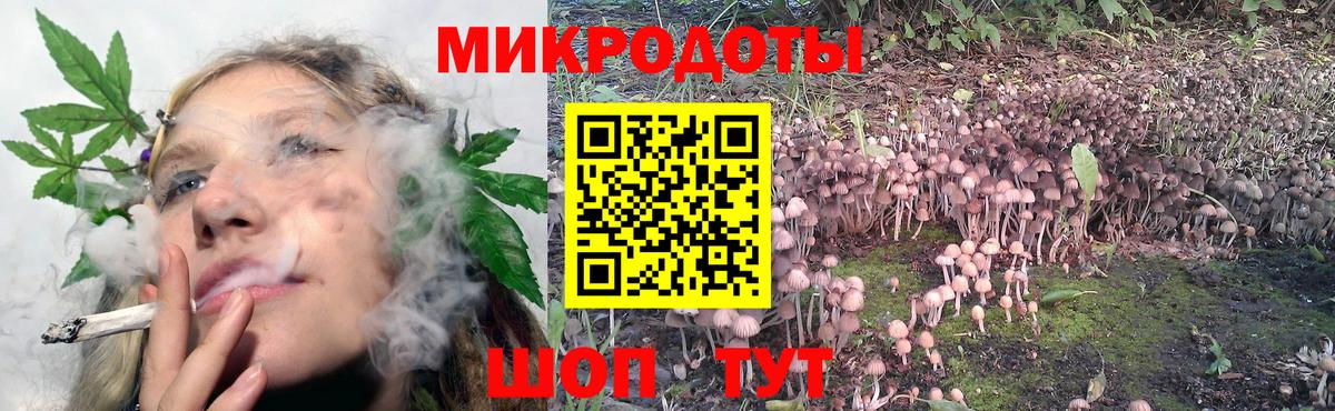 Псилоцибиновые грибы GOLDEN TEACHER Тула